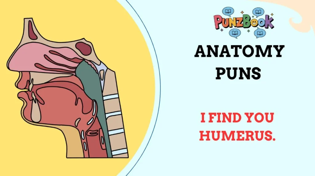 Anatomy Puns