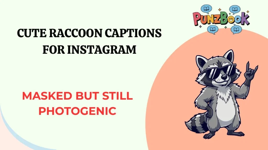 Cute Raccoon Captions for Instagram