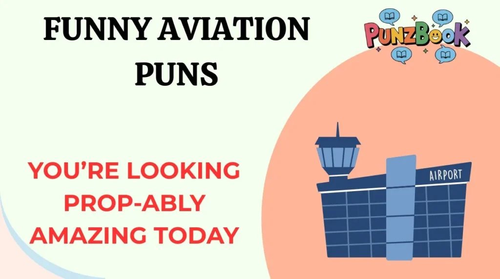 Funny Aviation Puns