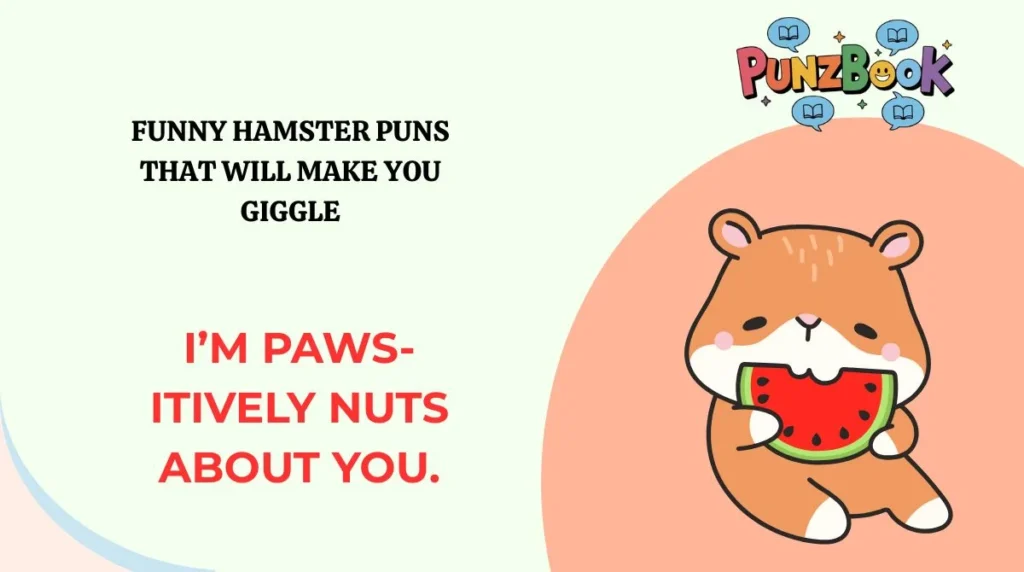 Funny Hamster Puns That Will Make You Giggle
