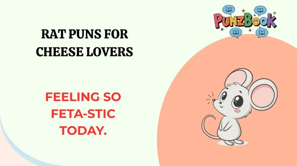 Rat Puns for Cheese Lovers