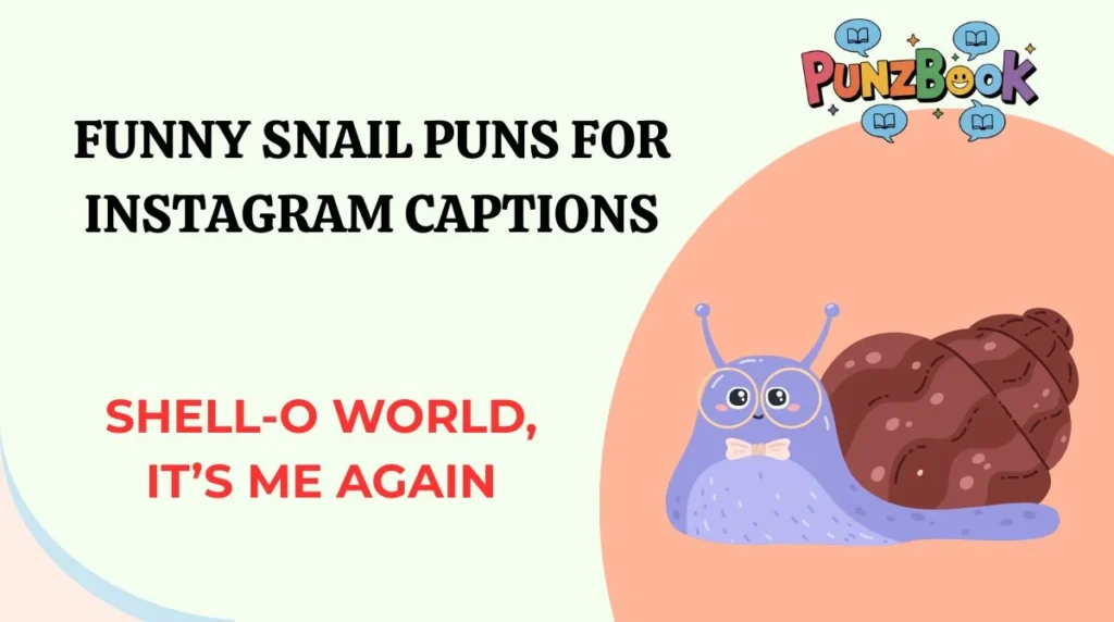 Funny Snail Puns for Instagram Captions