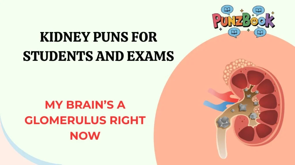 Kidney Puns for Students and Exams