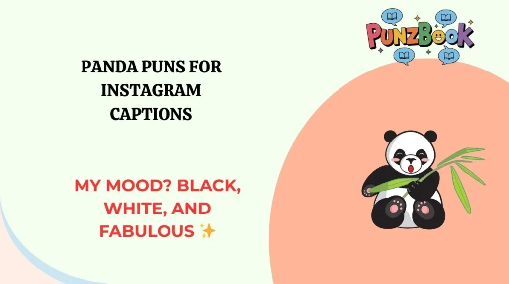 Panda Puns for Instagram Captions