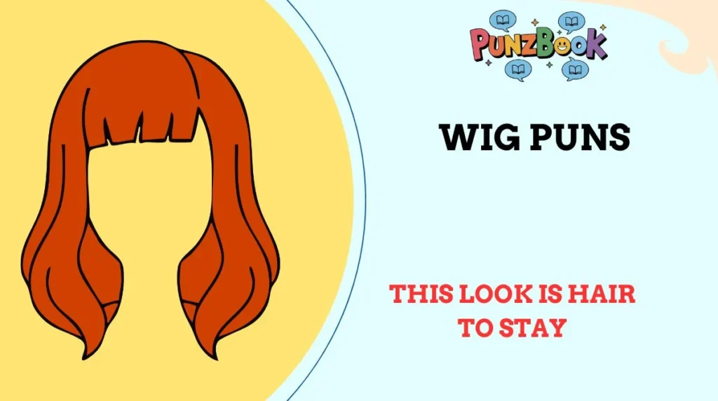 This Look is Hair to Stay