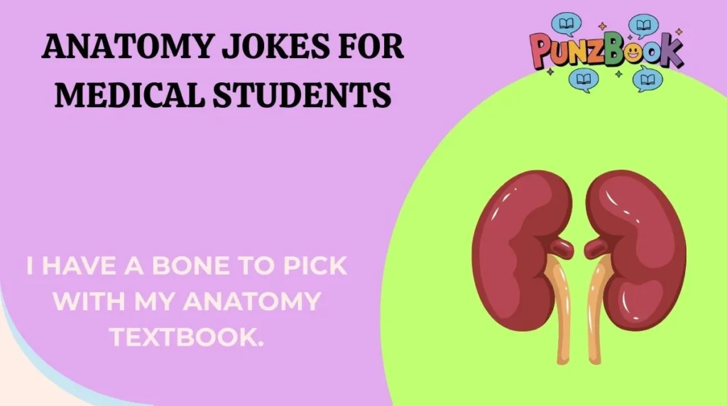 Anatomy Jokes for Medical Students