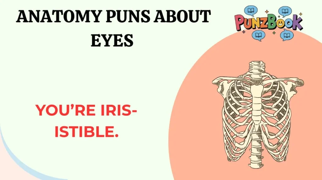 Anatomy Puns About Eyes