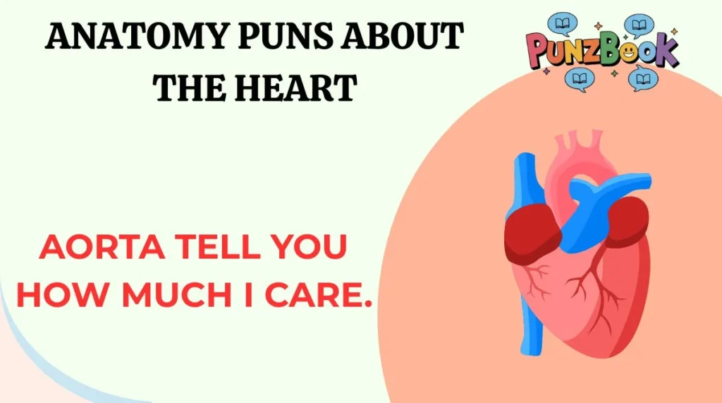 Anatomy Puns About the Heart