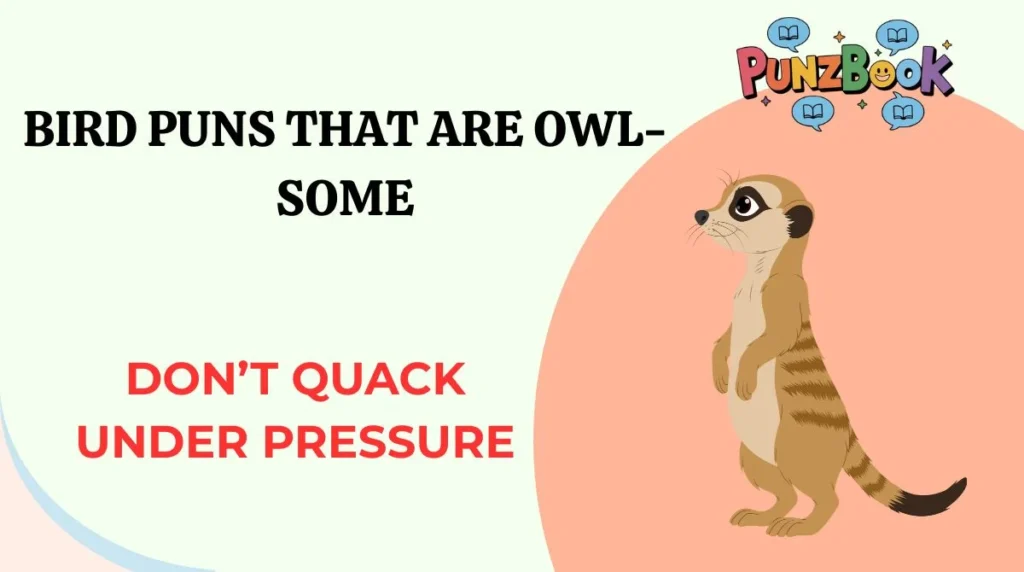Bird Puns That Are Owl-some