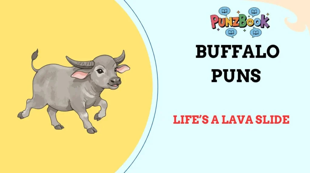 Buffalo Puns