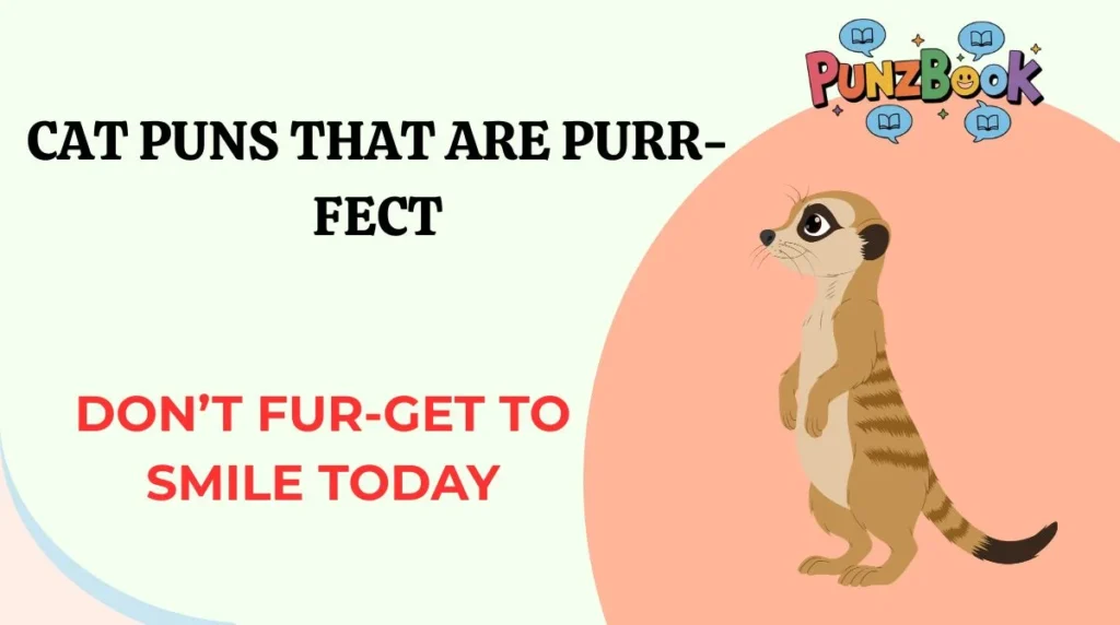 Cat Puns That Are Purr-fect