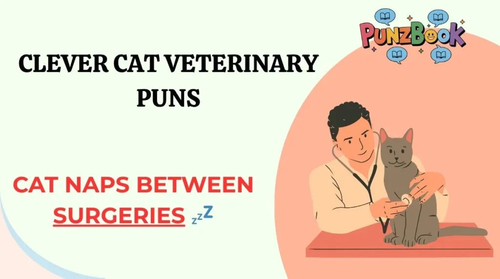 Clever Cat Veterinary Puns