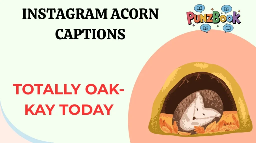 Instagram Acorn Captions