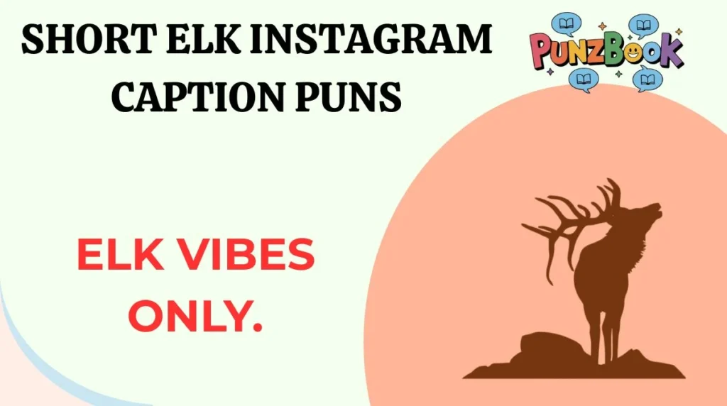 Short Elk Instagram Caption Puns