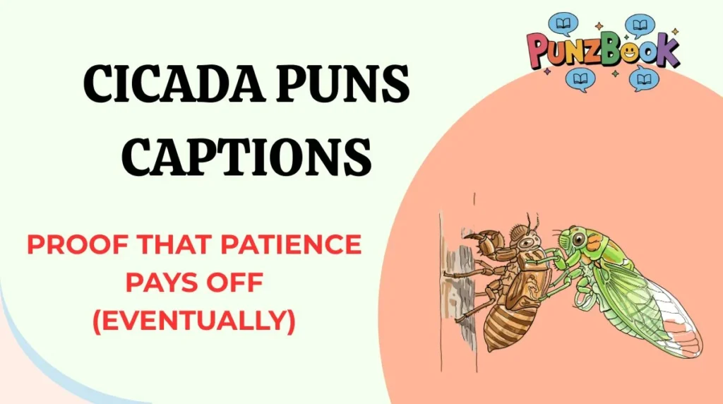 Cicada Puns Captions