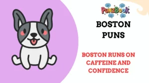 Boston Puns
