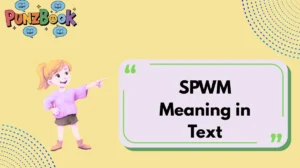 SPWM Meaning in Text
