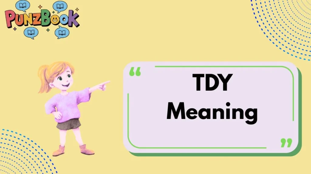 TDY Meaning