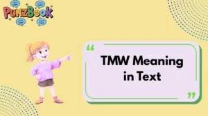 TMW Meaning in Text